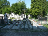 Hřbitov v Mladém u Českých Budějovic - hroby  „petrínů„
